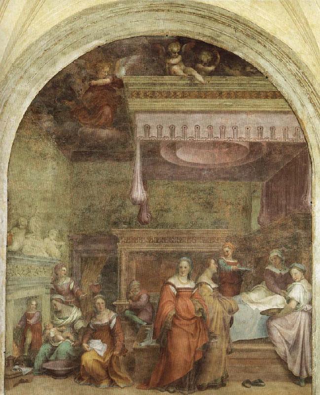 Andrea del Sarto Birth of the Virgin China oil painting art